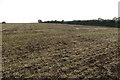 Field by Milton Road in Barford St John