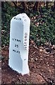 Old Milestone (east face) by the B1145, Bawdeswell Road, Billingford Parish in NR20 4RH