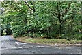 Langton Green: Broom Lane/High Rocks Lane Crossroads in TN3 9JP