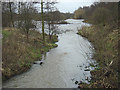 Bestwood Country Park - the River Leen in NG15 7QR
