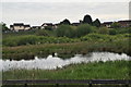 Pond, Doxey Marsh Nature Reserve in ST16 1UT