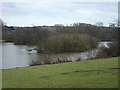 Bestwood Country Park- Mill Lakes in NG15 7QR