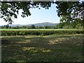 View to the Malvern Hills in WR14 3QZ