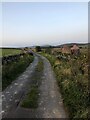 Track passing ruined building near Moss End Farm in SK17 0SY