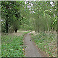 Byway (School Road), Stondon Massey in CM15 0LU