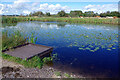 Pond - Doxey Marshes in ST16 1UT