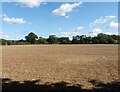Freshly drilled field at Anchor Farm in DT9 4SH