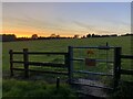 Gate on the bridleway towards Tadmarton in OX15 4RT