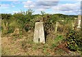 Trig pillar in KY15 7TA