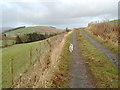 Hillside track near Auldgirth in DG2 0XL