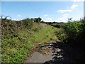 Track, running beside Park Bridge in BA22 8BX