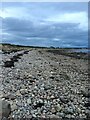 Moray Firth Foreshore in Ardersier