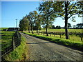 Track to Oxhill Farm in FK8 3LX