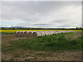 Bales near White Myre in DD9 6SR