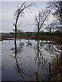 Flooded field near Genoch Mains in DG9 8QB
