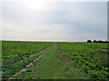 Whittlesford: footpath towards Duxford in Whittlesford