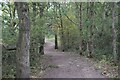 Wooded Path in CO2 8EW
