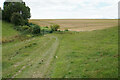 Track on Handley Plain in OX18 4DD