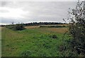 Fields through gap in hedge north of bridleway in Stonebow Village