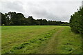 Grassy footpath in TN33 9BP