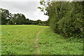 Footpath by field boundary in TN33 9BP