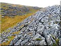 Limestone Pavement (near Loch Borralie) in IV27 4PU