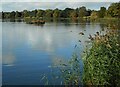 Artificial island, Hogganfield Loch in G33 6NJ