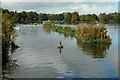 Artificial islands, Hogganfield Loch in G33 3SL