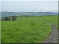 Sheep pastures above Moeliwrch farm, Llansilin in Llansilin Community