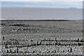 Beach at Lilstock, looking toward South Wales and Steep Holme in TA5 1SU