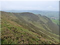 On the steep southern slope of the Gyrn above Llansilin in Llansilin Community