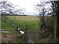 Footpath from Swing Bridge to Adam's Farm in RG29 1BX