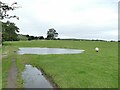 Puddles near Norcroft in LS29 6QY