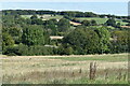 Fields and woodland above South End in SP6 3HR