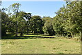 Footpath through field within Ashridge Copse in SP6 3HR