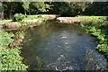 River Allen at Hawkhill Mill Farm in SP6 1PU