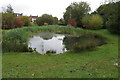 Pond by Humphries Drive in NN13 6QG