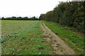 Footpath leaving Brackley in NN13 6QG