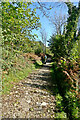 Path through Yealand Hall Allotment in LA5 9UD