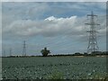 Power lines near Penn's Farm, South Holland in PE12 6JZ