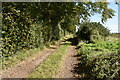 Farm track toward Grateley in SP4 0DZ