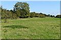Field south of Grateley Lodge in SP4 0DS