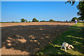 Knowle : Ploughed Field in B93 0AA