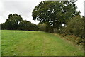 Footpath to Marlpits in TN33 9LE