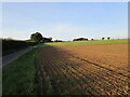 Prepared field and byway to Great Massingham in PE32 2HH