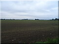 Flat field off Lynn Road (A10) in PE33 0RH
