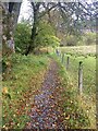 One of the Balmacara woodland walks in IV40 8DJ