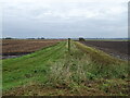 Farm track (bridleway) off Lady Drove in PE38 0AG