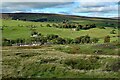 Old mine shafts & quarries above Fell View in NE47 9UJ