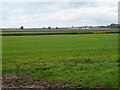 Flat farmland, Tottenhill Row in PE33 0RH